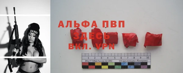 СК Алзамай