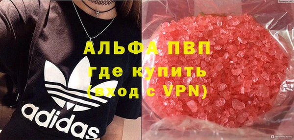 СК Алзамай