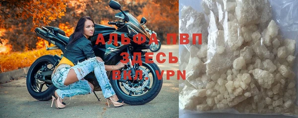 СК Алзамай